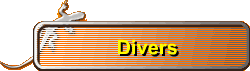 Divers