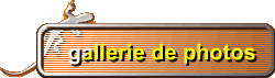 gallerie de photos